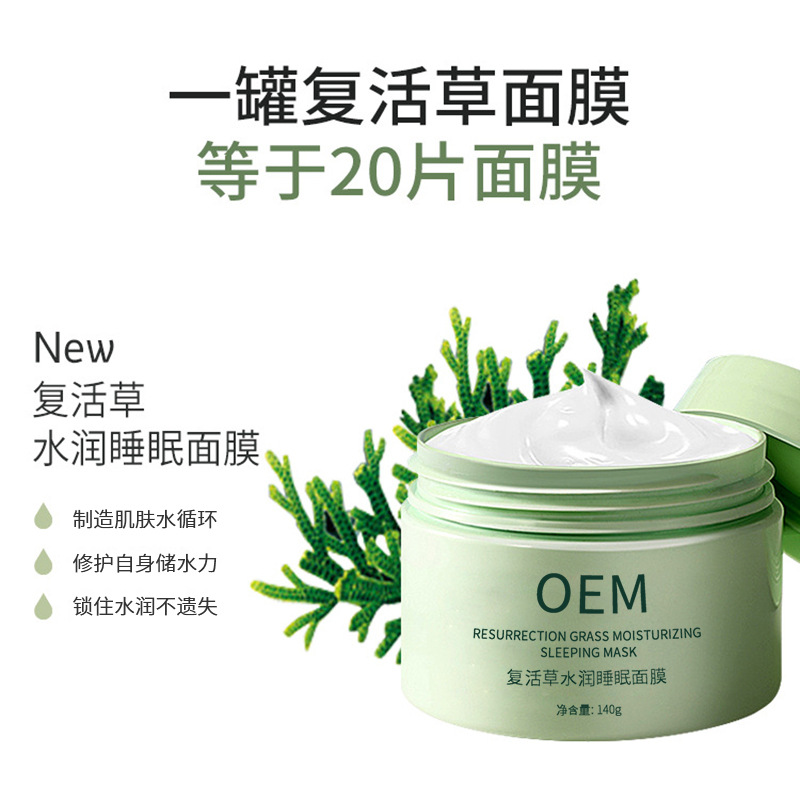 丽丰_复活草睡眠面膜OEM